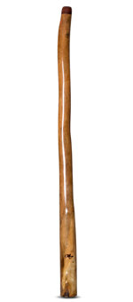 Tristan O'Meara Didgeridoo (TM264) 